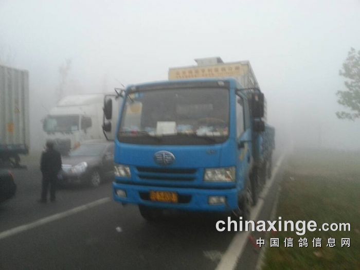 北京博雅亨利公棚11月3日比赛取消通知-中国信