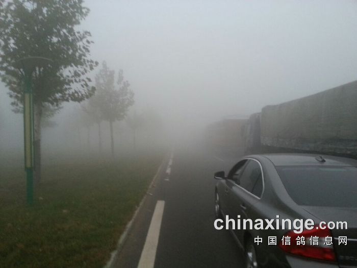 北京博雅亨利公棚11月3日比赛取消通知-中国信