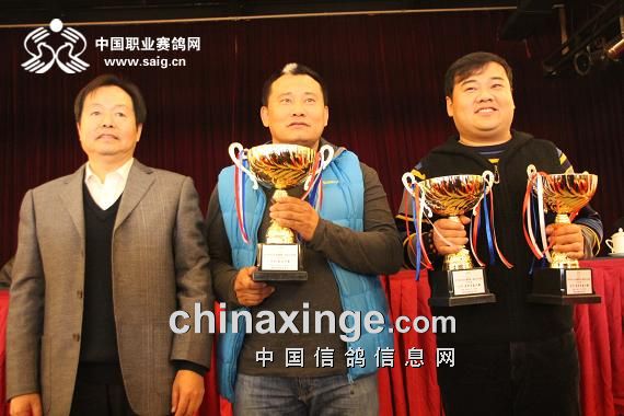 中国长城鸽业交北京爱亚卡普极品种鸽总参赛费高达两万九千元3000元已